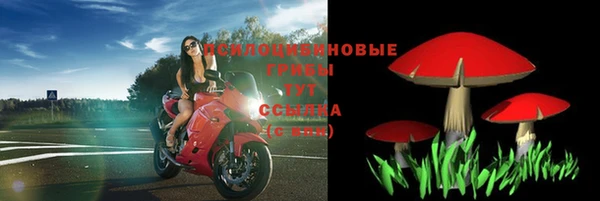 гашик Пересвет
