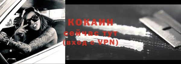 шишки Абинск