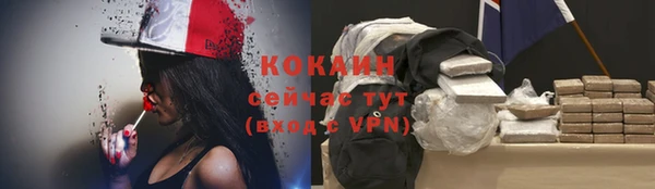 шишки Абинск