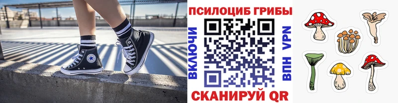 купить Мурино Псилоцибиновые грибы мухоморы