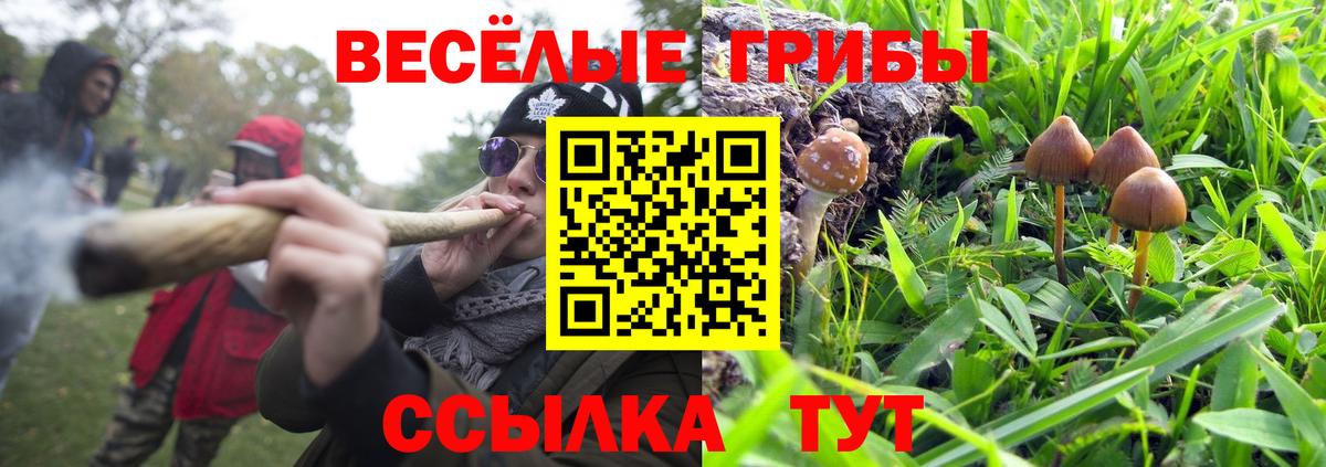 Псилоцибиновые грибы прущие грибы  Вход с VPN  Галлюциногенные грибы Psilocybe  Мурино 